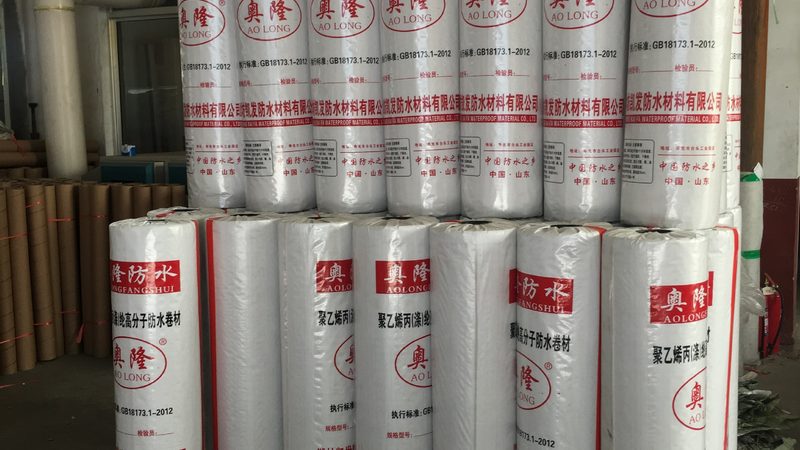 外墙防水涂料施工成本揭秘：一平方背后的考量**